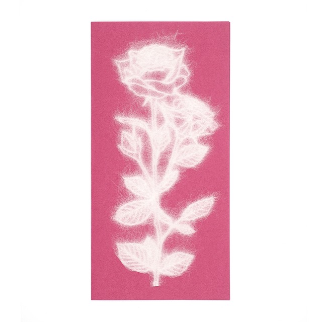 グリーティングカード　Flower L　薔薇（赤）