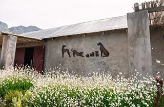 シックスドッグス・カルージン / Six Dogs Karoo Gin | ジンラボリカー