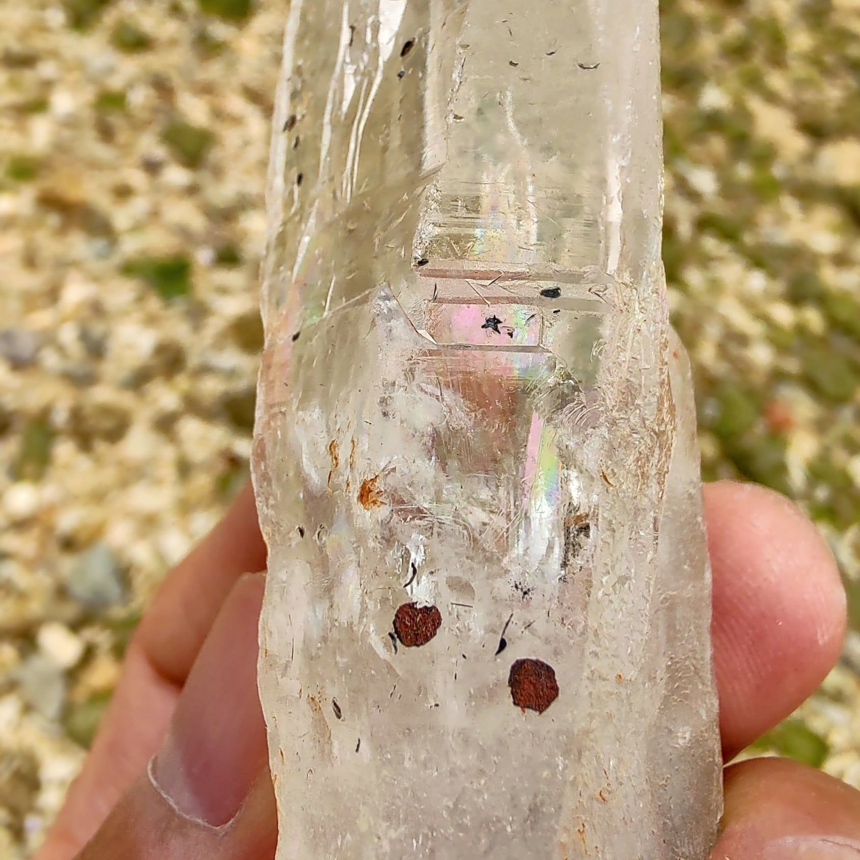 スケルタルクォーツ(SkeletalS Quartz)/ マイカ(雲母) / ライモナイト