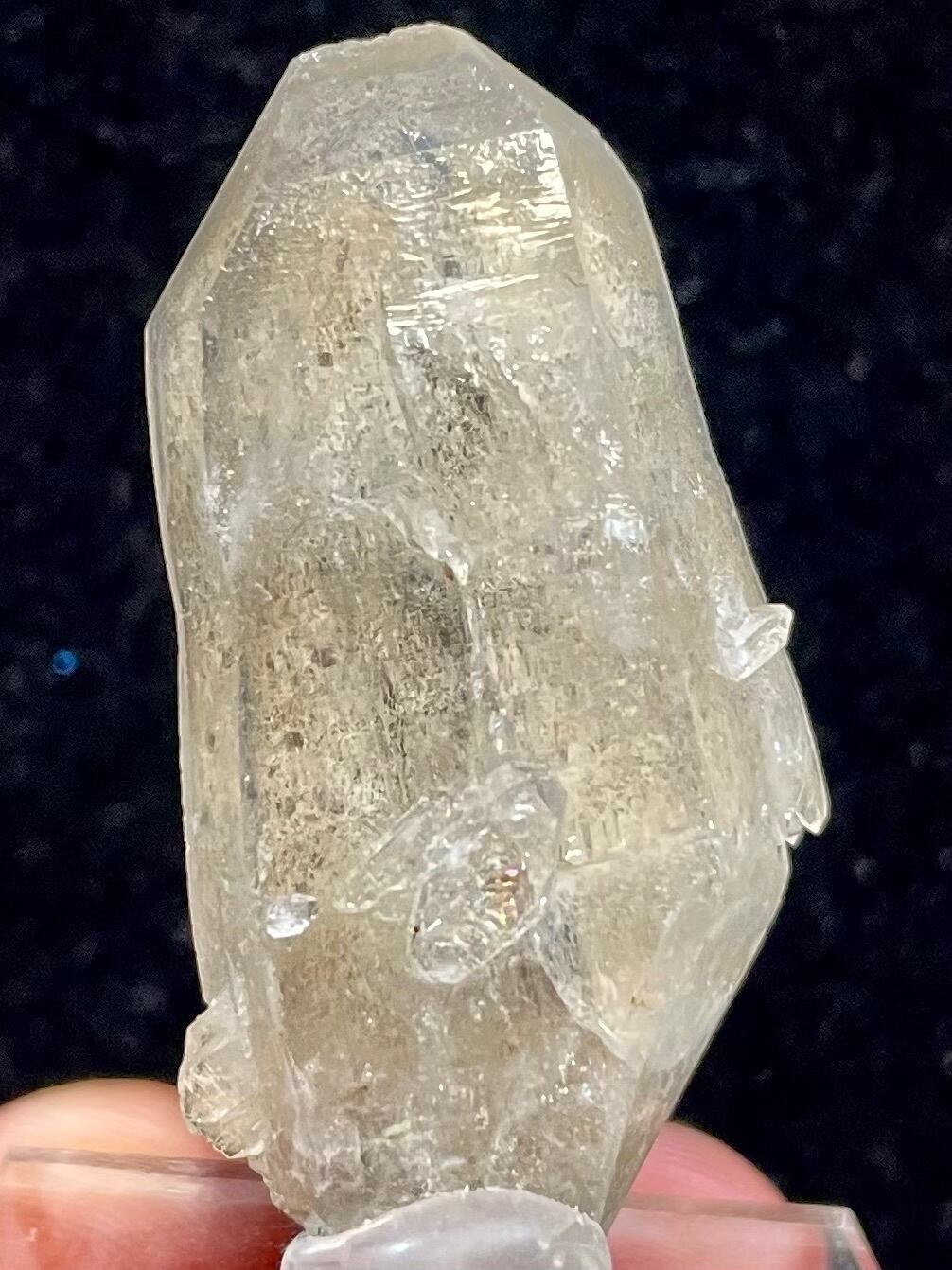 21) ロシアン・レムリアンDT