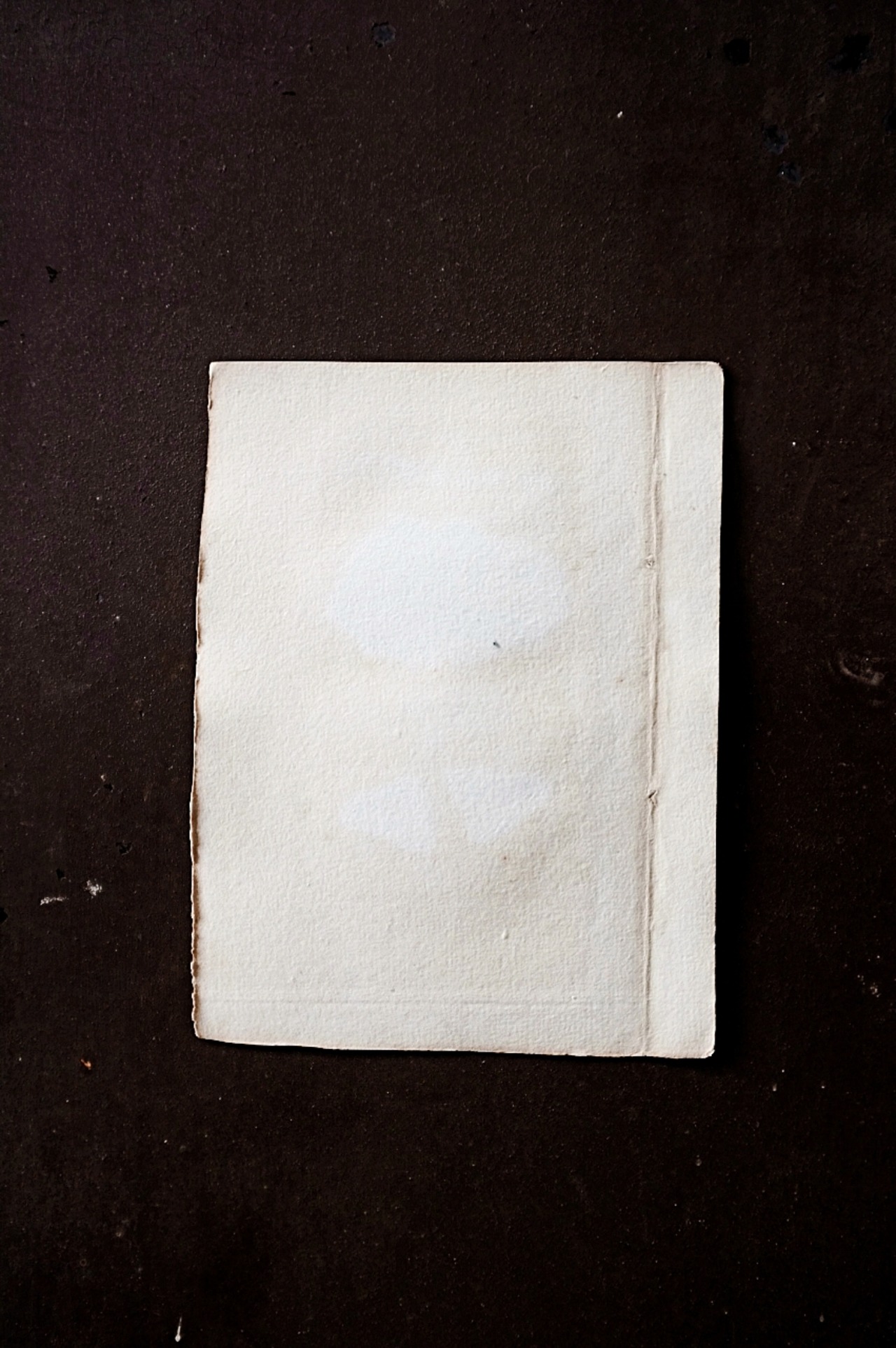 1780s フランス ビュフォン伯爵による蛾と幼虫の博物画h Buffon アンティーク