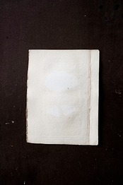 1780s フランス ビュフォン伯爵による蛾と幼虫の博物画h Buffon アンティーク