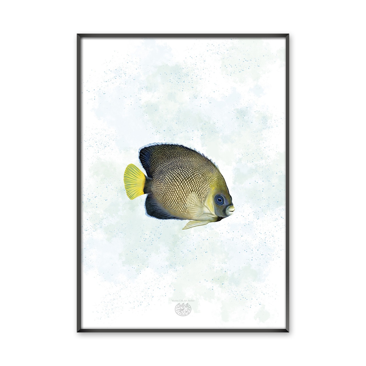 【海のいきものアートポスター／魚】クロシテンヤッコ