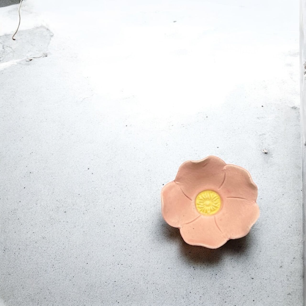 Flowers 花 | TSUNE;田中恒子の器 オンラインストア