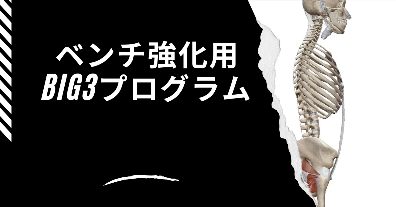 パワードラゴン プロニースリーブ | squatmania