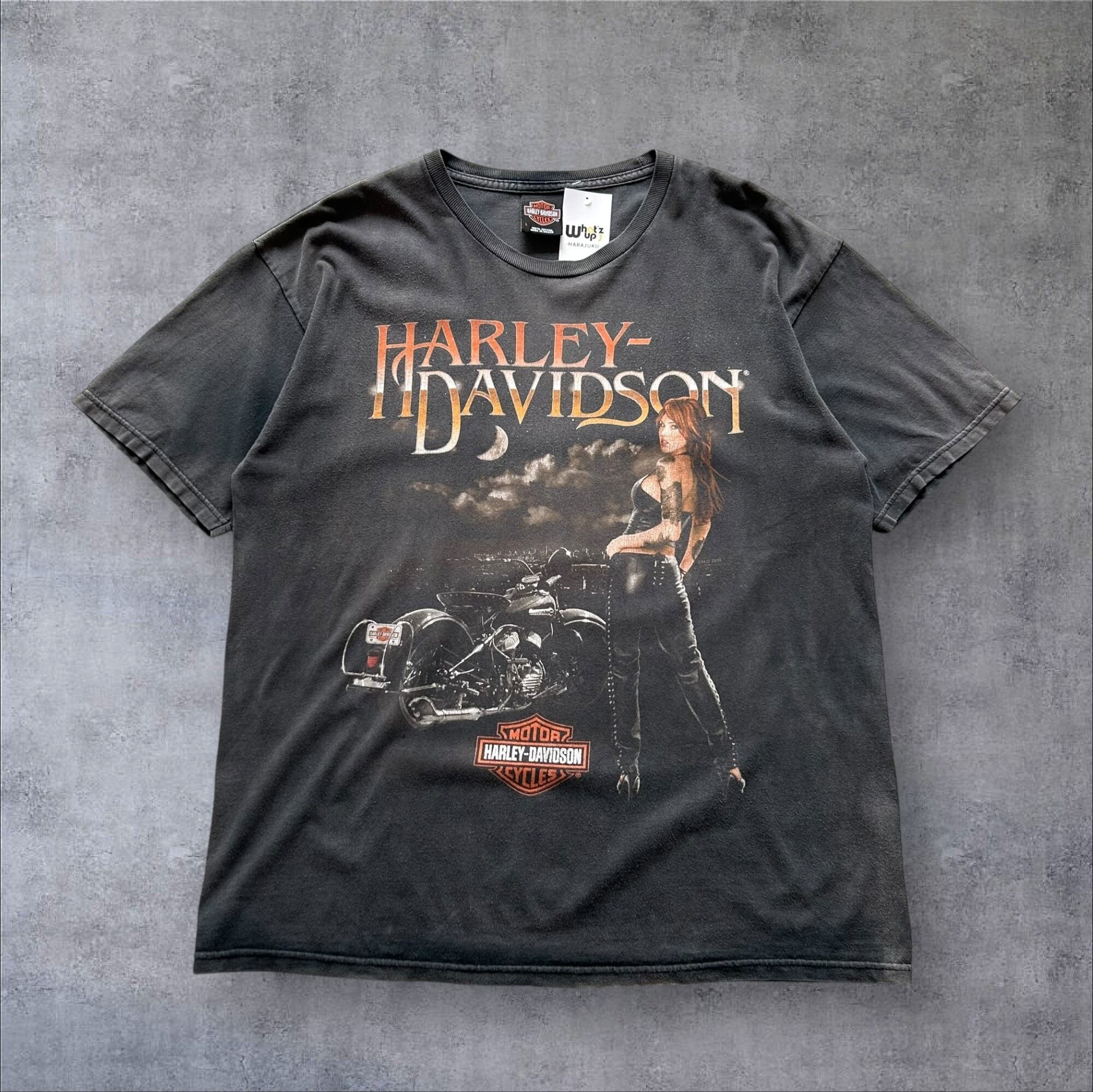 2011s Harley-Davidson T-shirt【高円寺店】