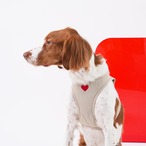 【PUPPYGALLERY公式】オールウェザー防水ハートハーネス　3XS〜XS