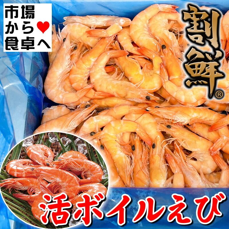 エビ商品 活ボイルえび 2箱(1箱2kg入り) Mサイズ(1箱約100尾入り)【ニチレイ