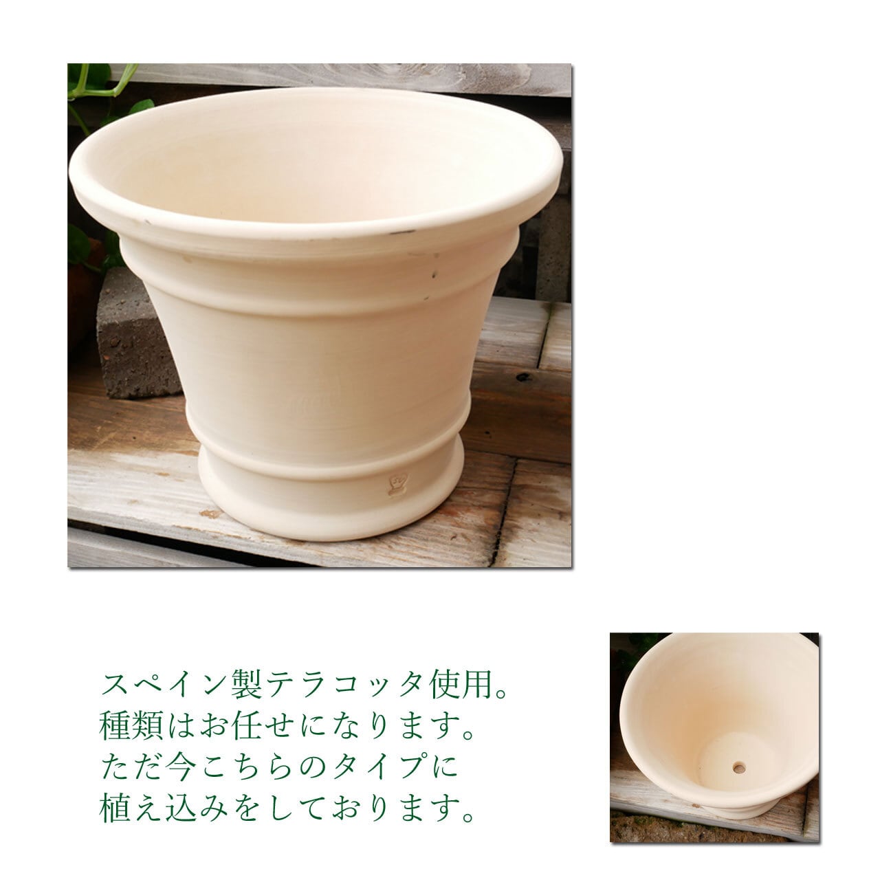 寄せ植えterracotta【すぐに飾れる】スペイン製テラコッタ鉢