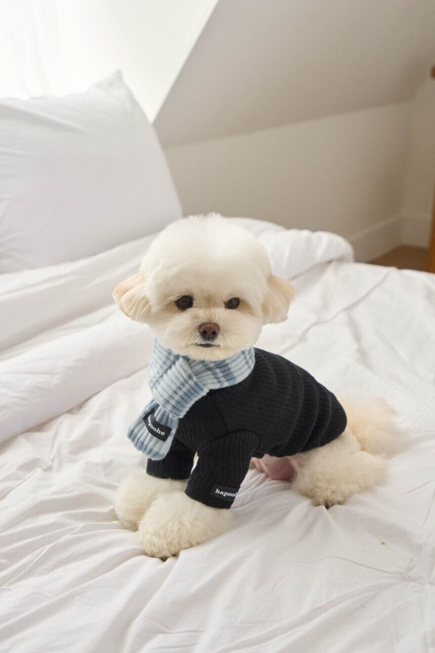 即納] Stripe Label Muffler (soda) | pupuon