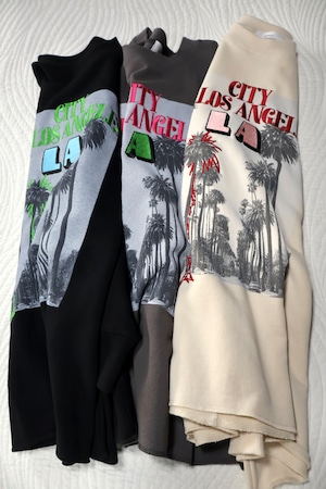 NEW!裏毛椰子の木転写ロゴ刺繍ワイドクルー【12509-334-10】2025AW