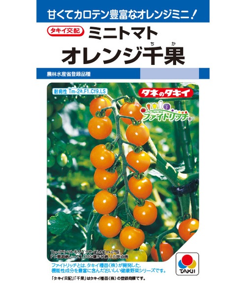 トマト 「オレンジ千果」（DF） 画像