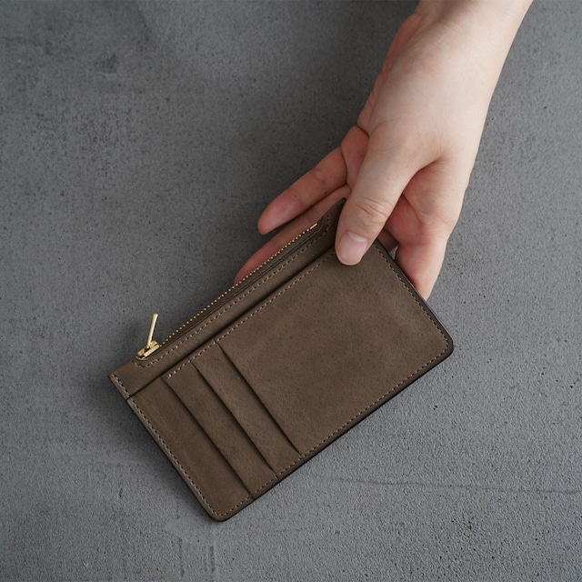 Card and Coin Case