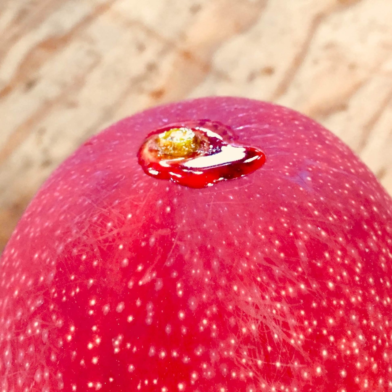 完熟マンゴー 自家用 ミニマンゴーセット 1~1.3kg | AKAIKE FARM