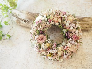 春爛漫　Pink Wreath