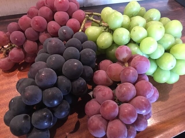 【2回目＆メンバー価格】クラフトワイン＜ハーフボトル12本＞※9/26(土)収穫体験＆試食・ワイナリー見学＆試飲・送料込