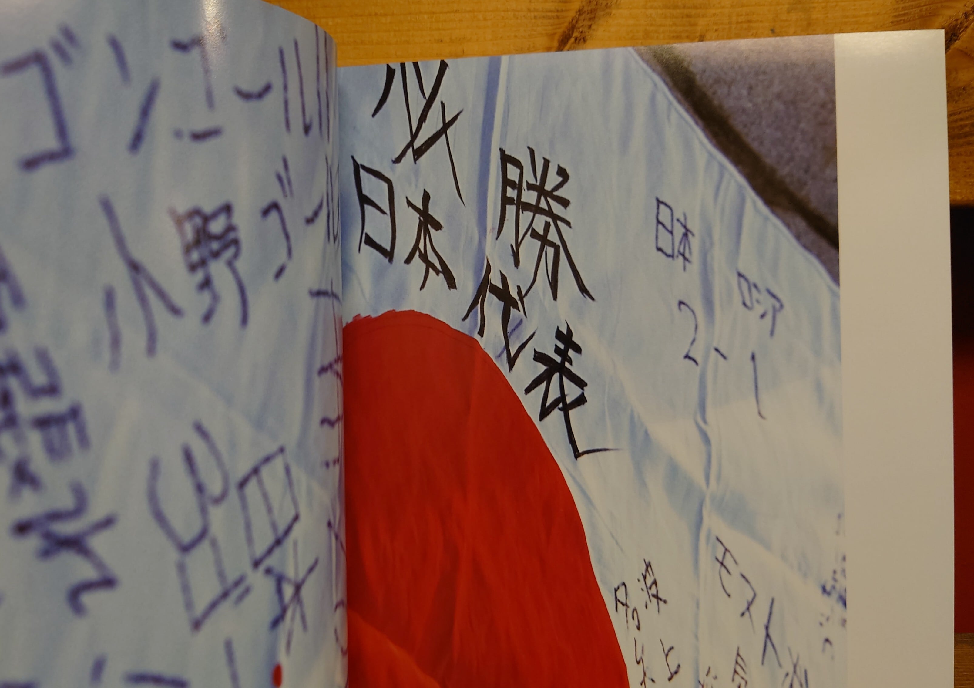 ありがとう2002 FIFAワールドカップ写真集 | 弥生坂 緑の本棚