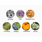 ヒーリングバスソルト（デトックス＆チャージ）定期便