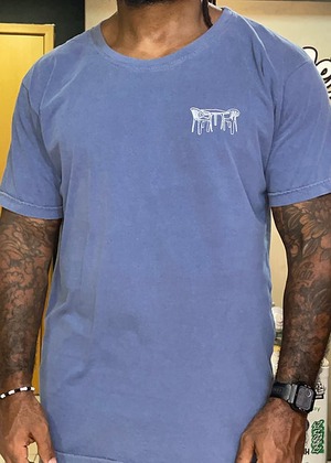 Fowler Tシャツ メンズ【BOTECO RAIZ STONE 】ブルー