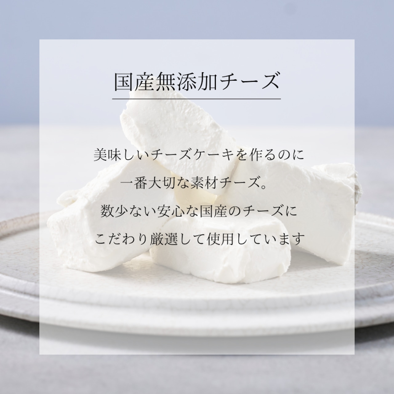 レイヤーチーズケーキ "リヴァイブフルーツ" ~和歌山県産オレンジ~