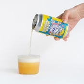 PACKING KŌJI -Hazy Sour IPA-(6本セット) | MERRY LOGISTICS×SANKAKU BEER WORKS