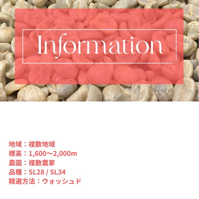 【生豆】ケニア│ Masai AA Washed