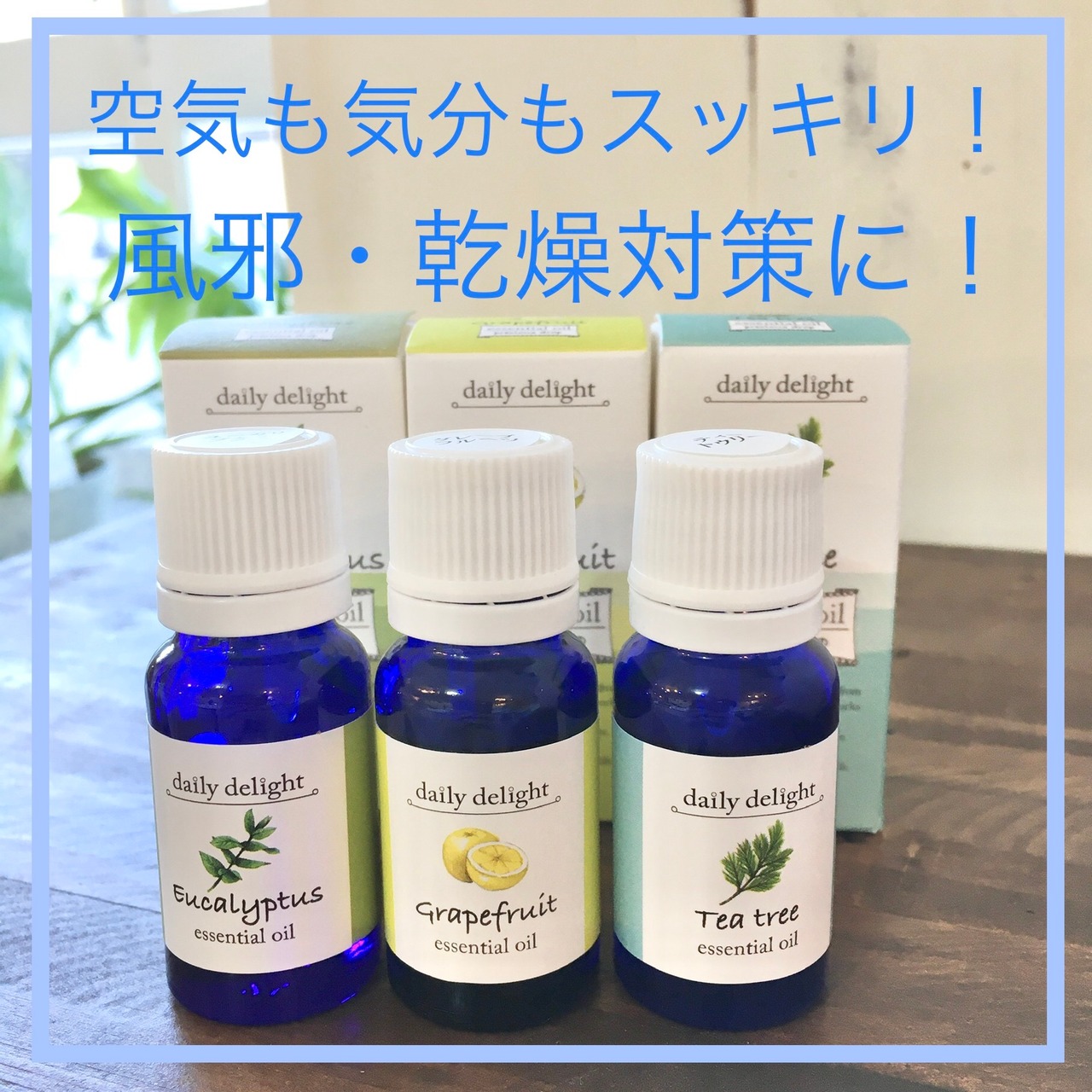 【風邪・乾燥対策に!】アロマオイル3個セット