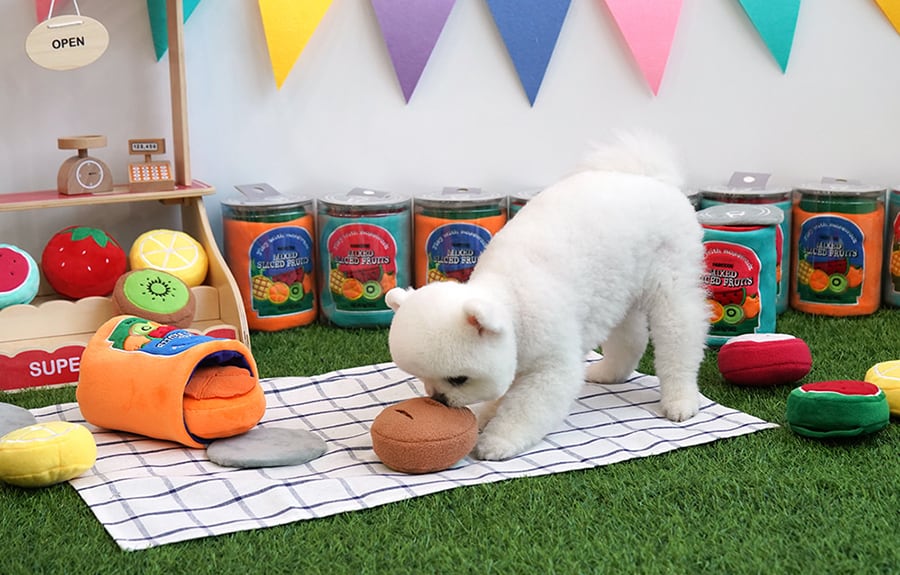 fruits can nose work / ノーズワーク ペット 犬 おもちゃ 知育玩具 snack food ノーズワーク おやつ隠し 可愛い わんちゃん ストレス解消 インスタ映え