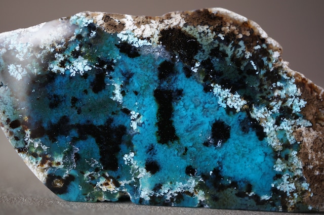 ジャワ島産ブルーペトリファイドウッド Blue Opalized Petrified Wood 2274