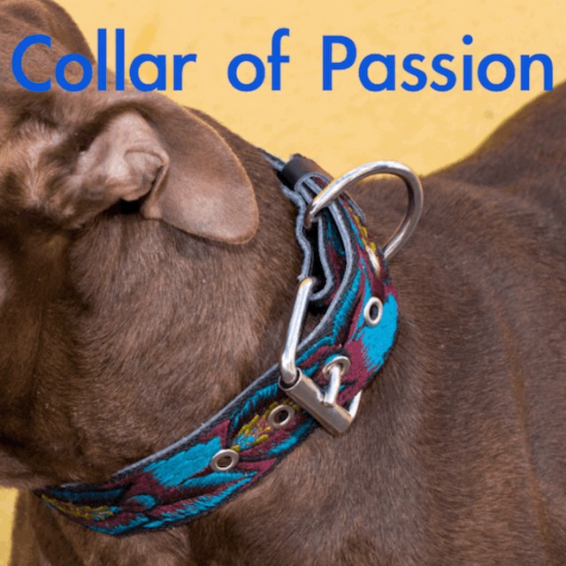 COP - カラー・オブ・パション　犬の革首輪