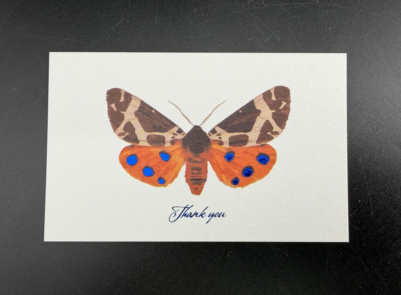 Thank you カード 5枚入り(ヒトリガ)