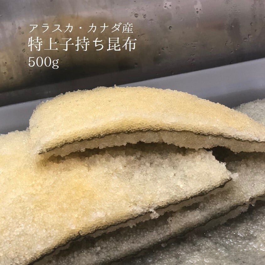 子持ち昆布 上 500g アラスカ/カナダ産 約1.5cm前後幅【子持ちコンブx500g】冷蔵 豊洲直送