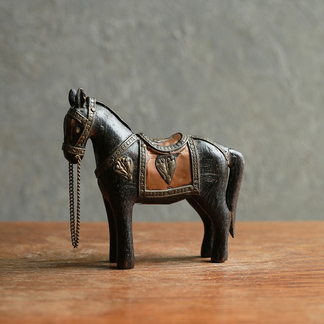 手放したくないほど美しい馬 18