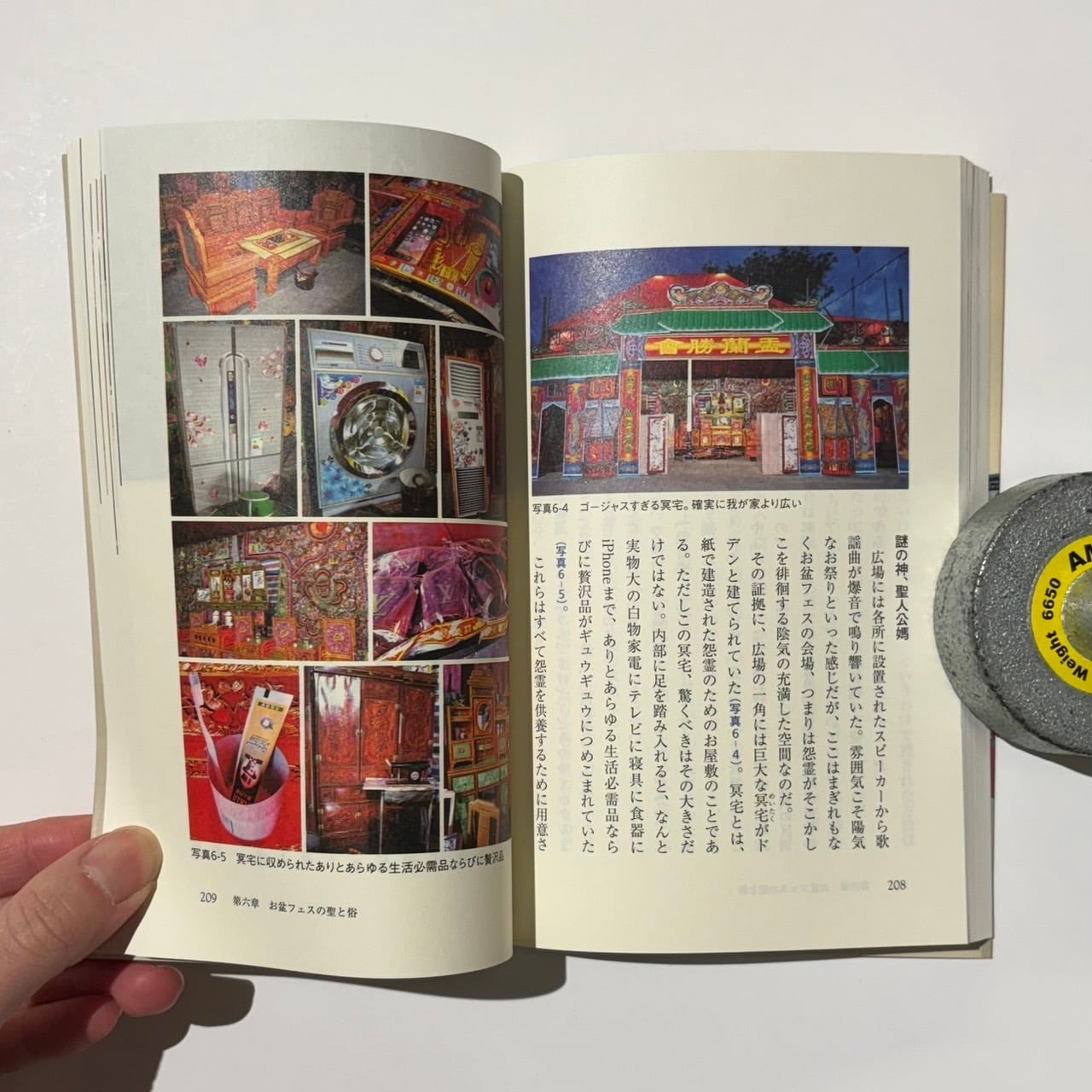 大谷亨 - 中国TikTok民俗学 スマホからはじまる珍神探訪 | stacks