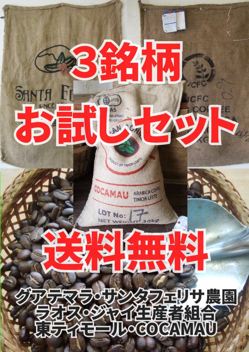 グアテマラ SHB 10kg ※送料無料！！ SHB 10kg コーヒー生豆グアテマラ