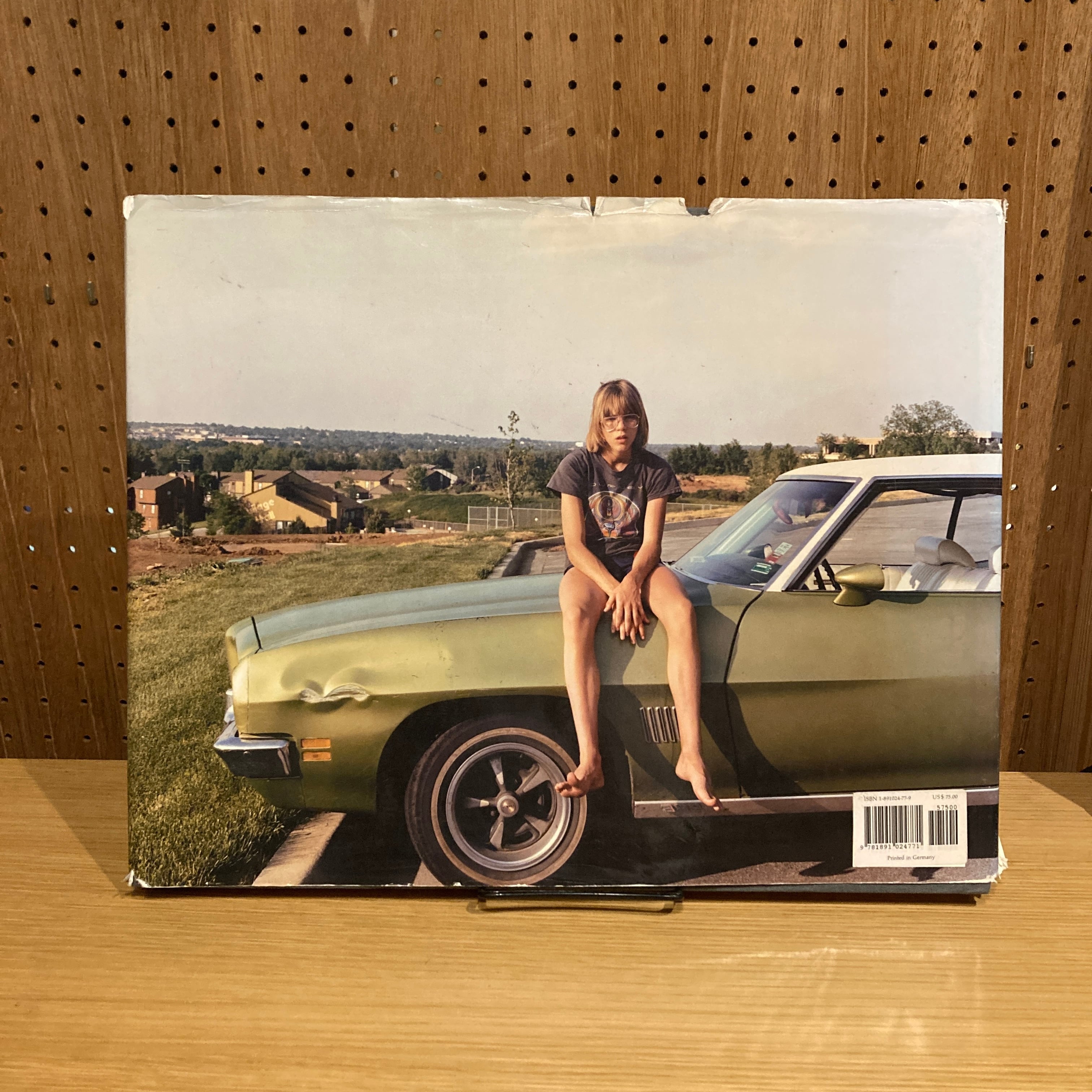 American Prospects / Joel Sternfeld | 百年