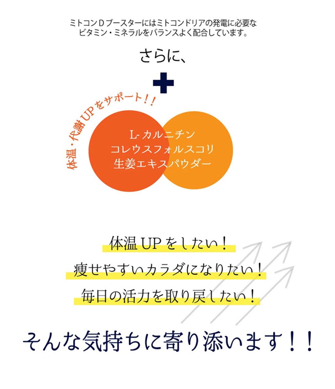 【37℃ サプリメント公式】 MitochonD Booster (ミトコンDブースター)| ダイエットサプリメント 470mg×60粒 | Energy&Life powered by BASE
