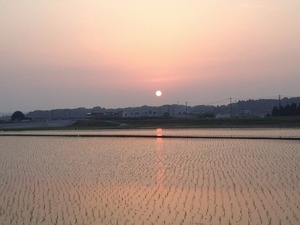 大自然米【3kg】精白米