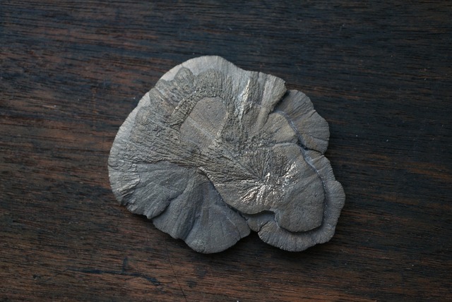 パイライトサン Pyrite Sun 1677