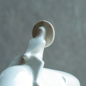 暴れ牛を必死で操る少年