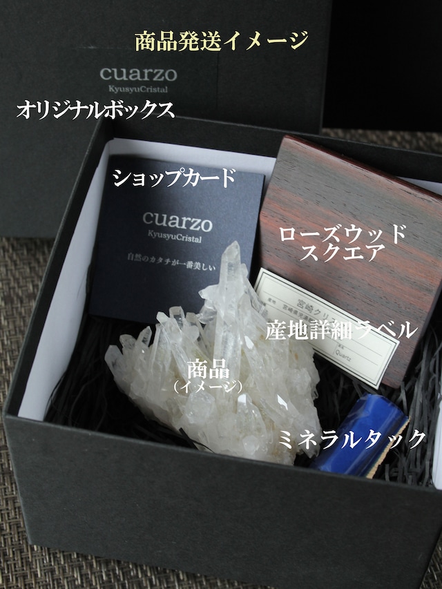 【143】宮崎クリスタル ローズウッドスクエア70