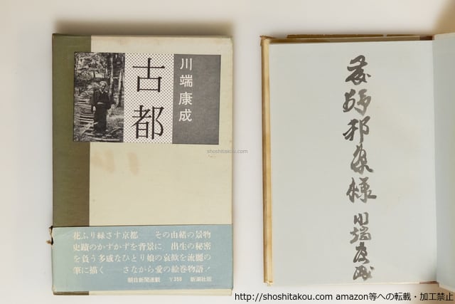 詩の媒体としての漢字考 アーネスト・フェノロサ=エズラ・パウンド芸術