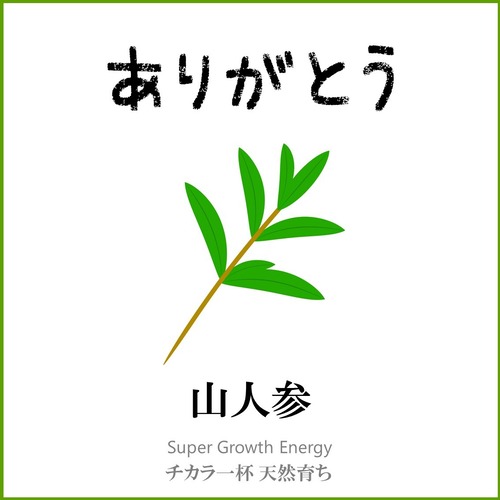 【大分県】天然物 山人参 ありがとう