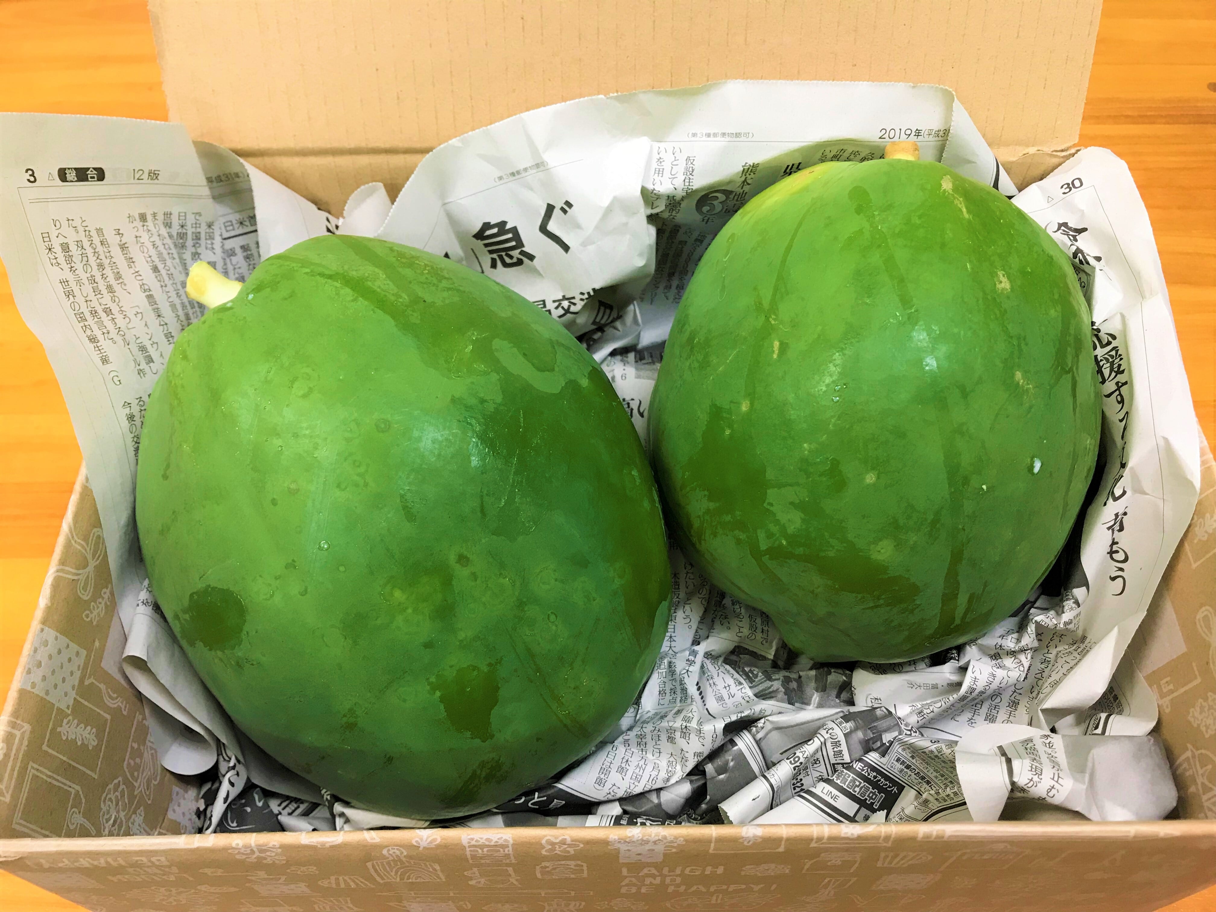 農薬不使用】青パパイヤ2玉！ | 徳之島のお惣菜 みどりや