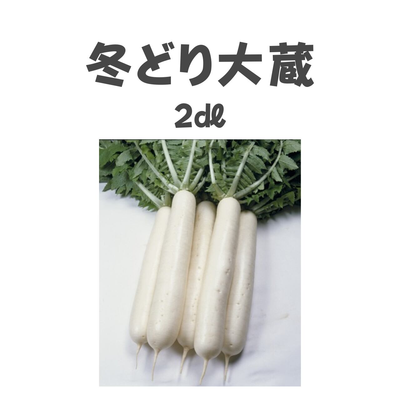 冬どり大蔵 ダイコン種子・2dl
