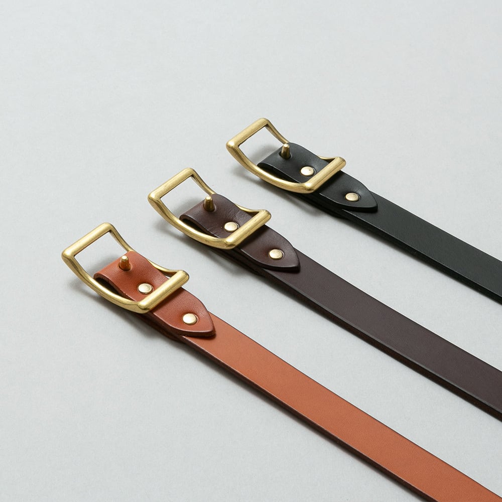 コンウェイベルト / BE-1034 | PLANT