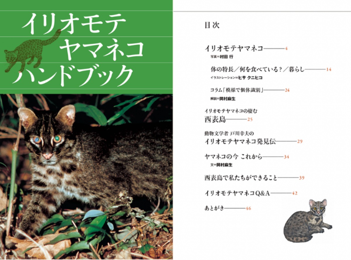 b2c5d5830791d5c30747db9e43604c