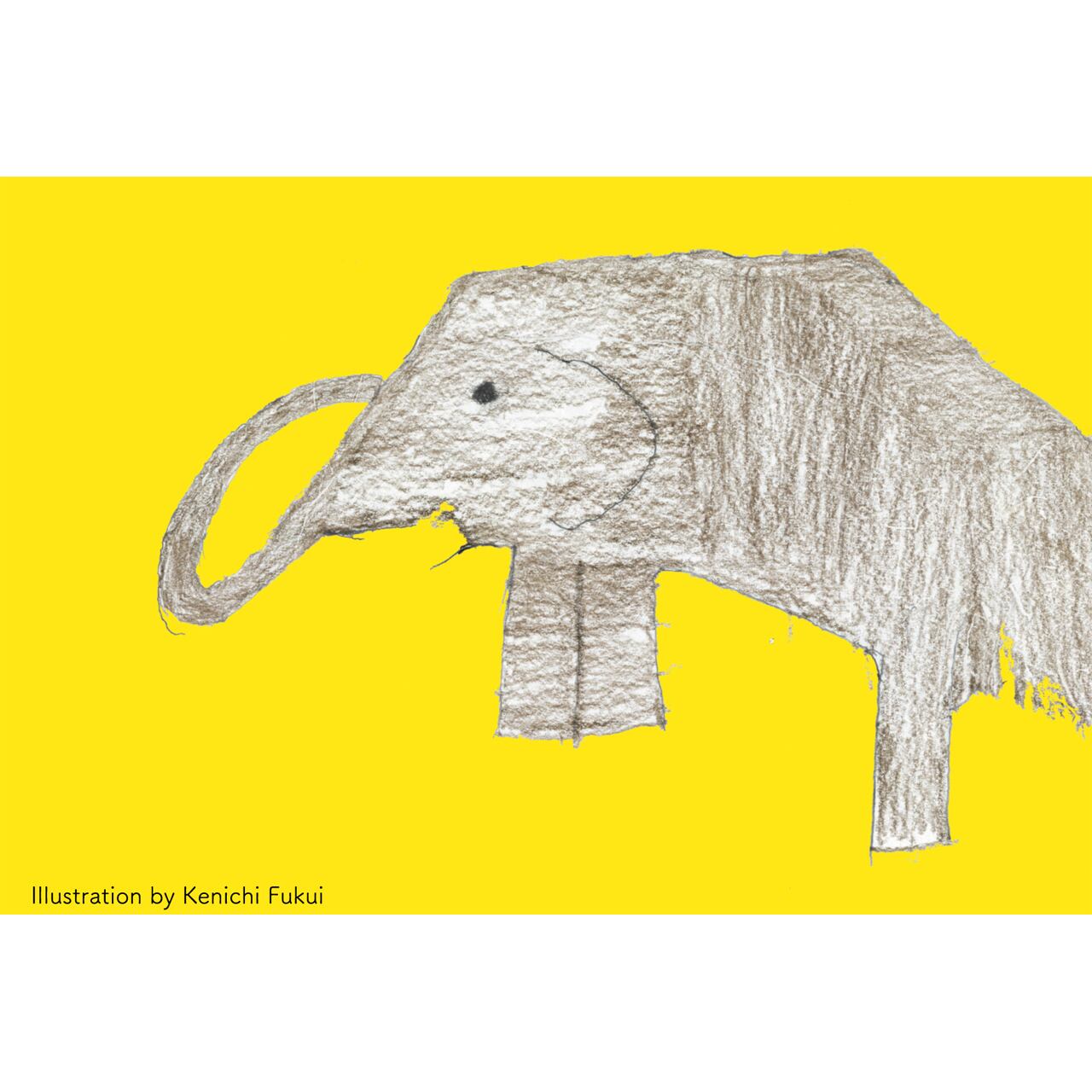 ポストカード 象横向き P-005 | atelier kuumuus