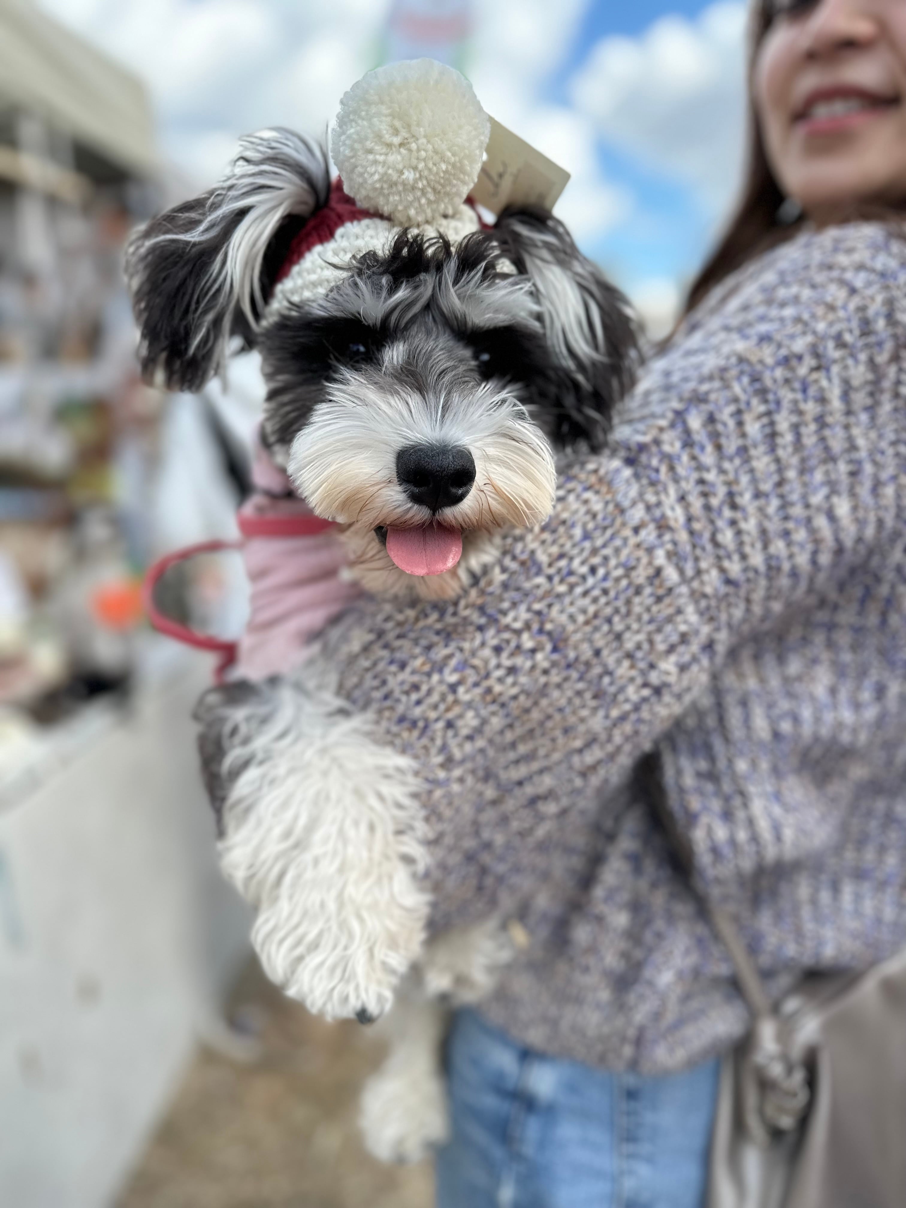 【即納】サンタボンネットSSサイズ