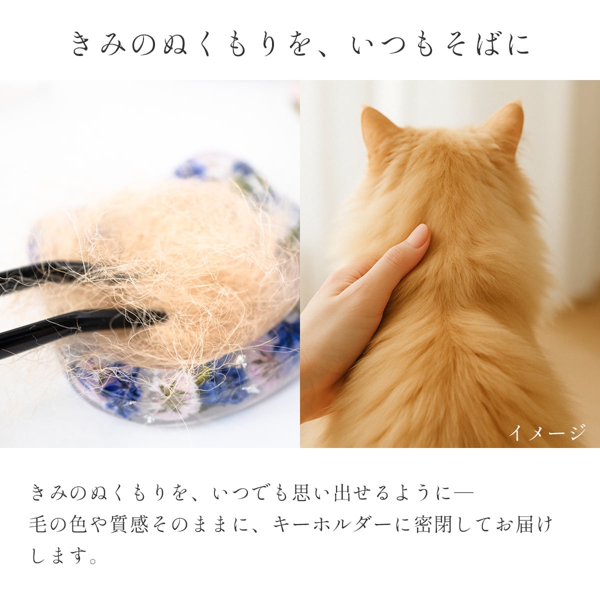 ボッテガヴェネタ　アニマル　ストラップ　ネコ　キャット　猫　５個セット ボッテガヴェネタ アニマル ストラップ ネコ キャット 猫 5個